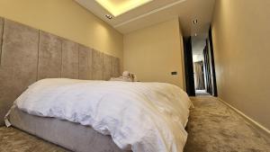 Casa Center Luxurious 2BR Wi-Fi, Parking AC