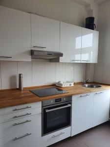 Schwan-1-5-Personen