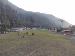 Nirvana Eco Resort, Village Mora, Mori