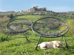 Farmhouse in front of Siena, 2rooms & pool