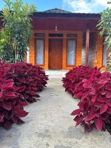 Punik Family Villa
