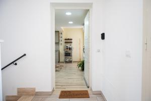 Domus Home Ladispoli