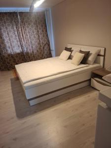 SV Apartment