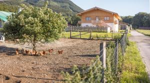 Alpen Lodge Samerberg