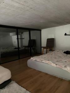 Apartment Bače