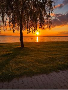 AquaBelle Apartman- Balaton part & Galerius Fürdő