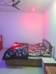 Cosy Paradise