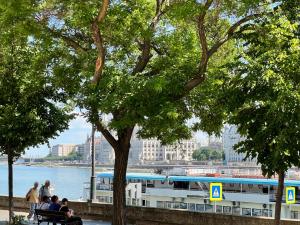 Twin Danube Lofts by Chain Bridge