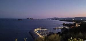 Blu Navarrese 2