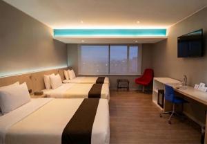 Palmetto Hotel Business San Borja