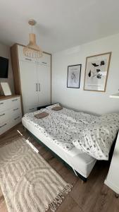 Apartament Rowy