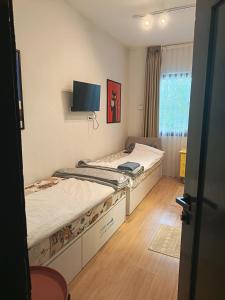 Travel Hub Hostel Social and Friendly