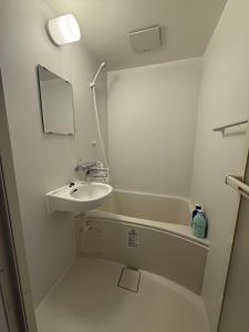 MAC HOME 201 Tokyo 2BR 500m to Kameari Station Near ARIO Mall 10Gbps WiFi