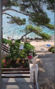 Apartmani Marinero