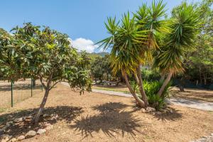 Ampia villetta con giardino a 5 minuti dal mare- Casa Janas
