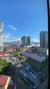 Savea Panorama Batumi