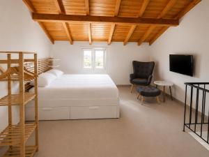 Treehouse Suite and Apartment