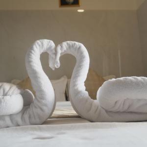 Amani Beach Stay