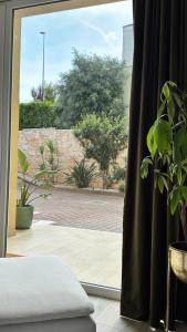 Casa Mèditerranea