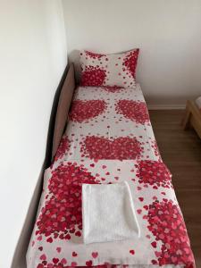 Airport Studio apartman ravna gora