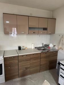 Airport Studio apartman ravna gora