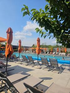 Fayna Town Comfort #2