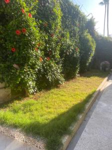 Lux Villa