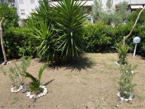 Il Rifugio del Mare - Garden Home Vasto Marina