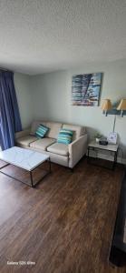 Oceanview Efficiency 50610