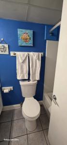 Oceanview Efficiency 50610