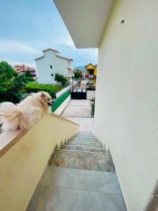 Guesthouse Ermali