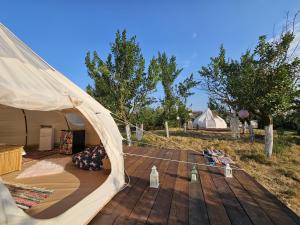 Ofidaki Glamping