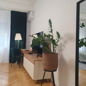 Bzs5