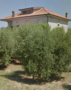 B&B La Tenuta