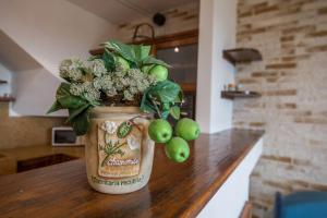 Al Agave sotto