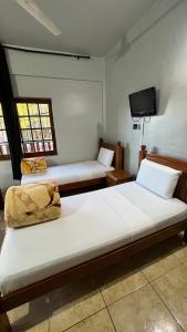 Hostel Peter Pan