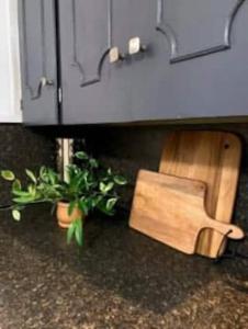 4BR Downtown Lafayette-Garden Parking Walk to Arts District
