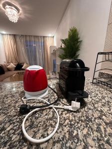 appartement lumineux
