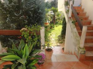 Apartments with WiFi Banjole, Pula - 27696