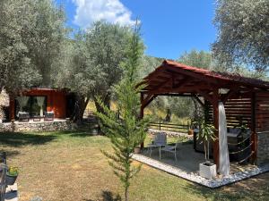 Olive grove Sofias Garden
