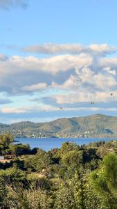 Cabañas Amanecer Galáctico