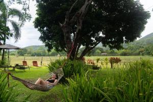 Butterfly Resort Hostel, Pai