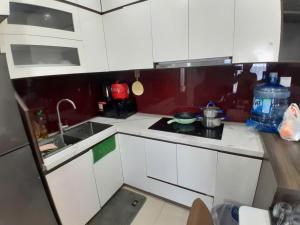 Vinhomes DCapitale Luxury Apartment Hanoi - Hachi Homes