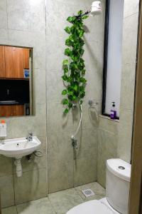 Furnished Studio bnb Roysambu TRM Lumumba Drive