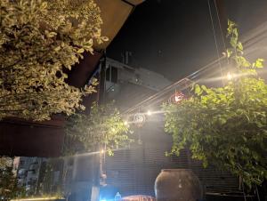 T Zone Hostel - Quiet Place, Near China Town,Ho Thi Ky Street Food,Cafe,Beer