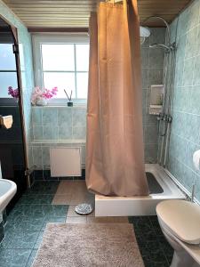 Leia Kodu Private Garden House with Terrace & Parking in Rakvere