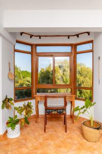 Hewani a bright & airy 1 BR apartment with an ocean view & pool
