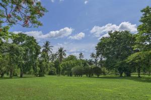 Kahavadi Chiang Rai, Curio Collection by Hilton