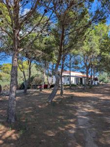 CountryLoft-LeMareediCarlofrte