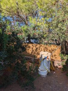 CountryLoft-LeMareediCarloforte